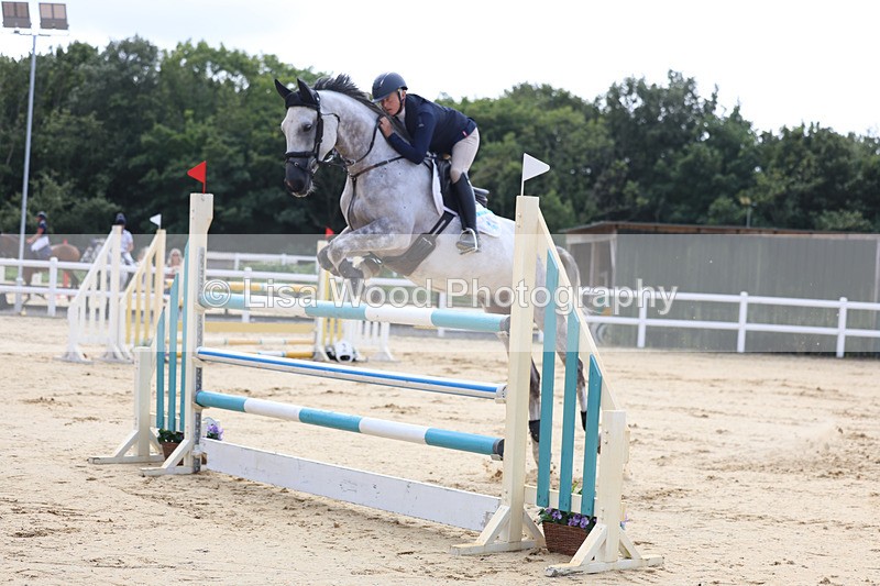 3E7A1890 - Class 9: Senior Foxhunter/1.20 open