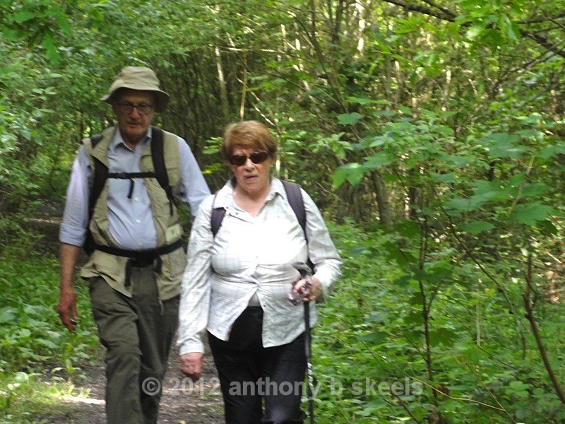 039 Along the banks of the River Aire - SAINT PAULINUS PILGRIMAGE TRAIL