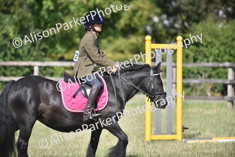 20260906-1008 - Class 7 - Absolute Novice Jumping 35cm