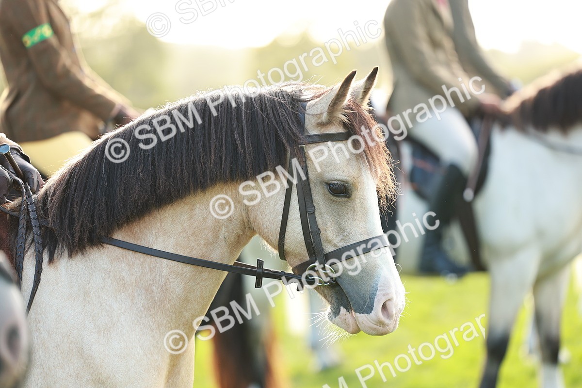 SBM_28800 - S7 - Novice & Newcomer Ridden Pony