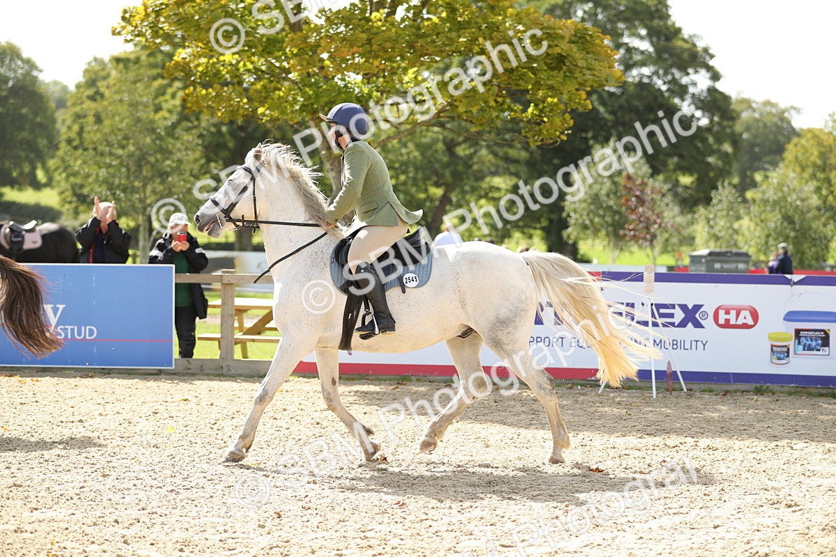 SBM_05851 - J35 - Veteran Rider 60cm