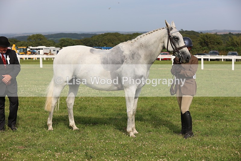 JPP_4300 - Class 25: Working Show Horse