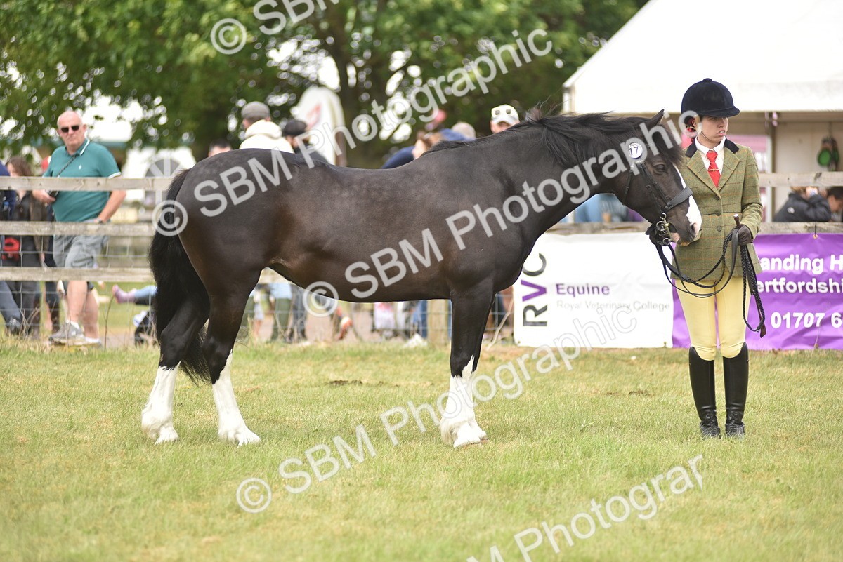 SBM_16024 - Class 117-122 - SSADL RIHS Qualifier