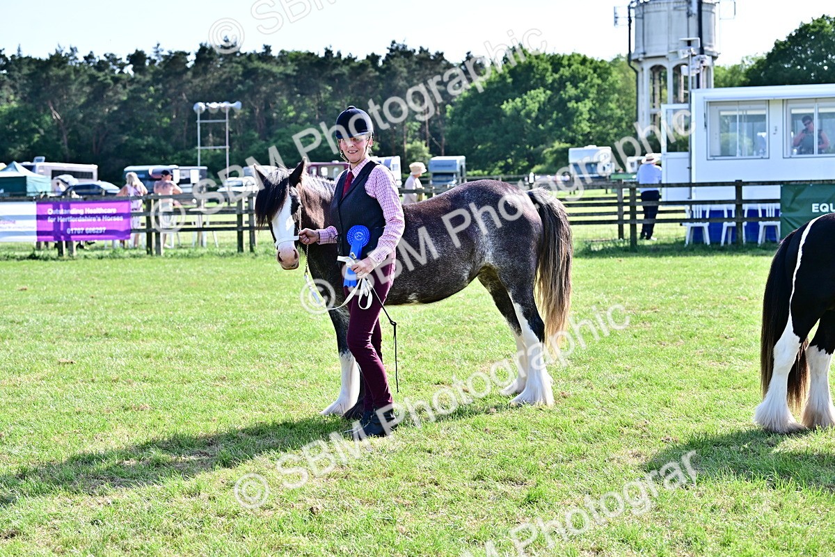 SBM_10056 - Class 63-65 - Traditional Gypsy Cobs In Hand & Ridden