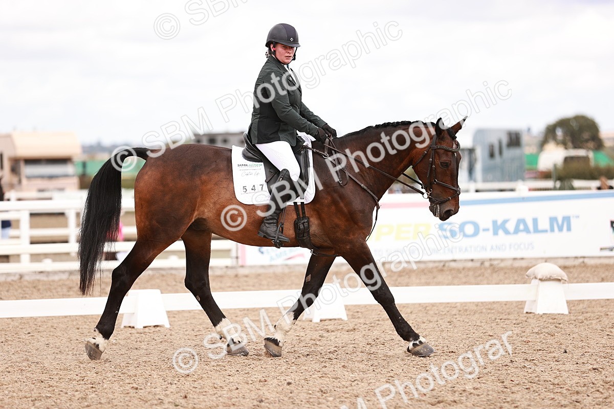 SBM_06365 - Class 37 - Novice 5