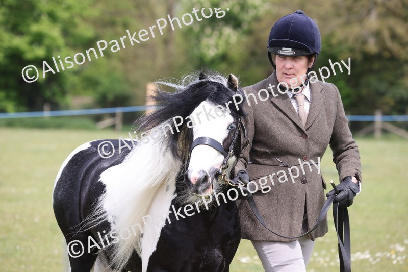 20260426-3360 - Class 27 - Coloured Horses and Ponies