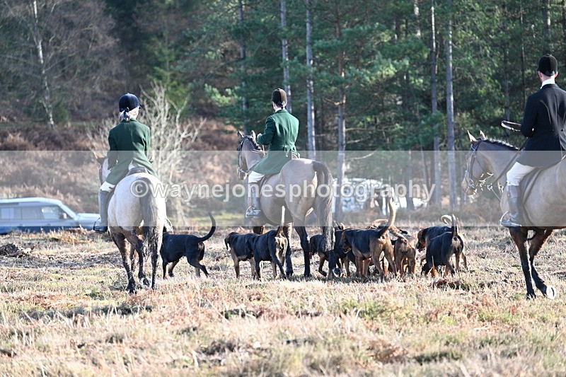 WJ7_7215 - Line 3 (no line 4 or 5)