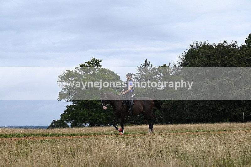 DSC_6205 - Time at Statue 12:17 to 12:44