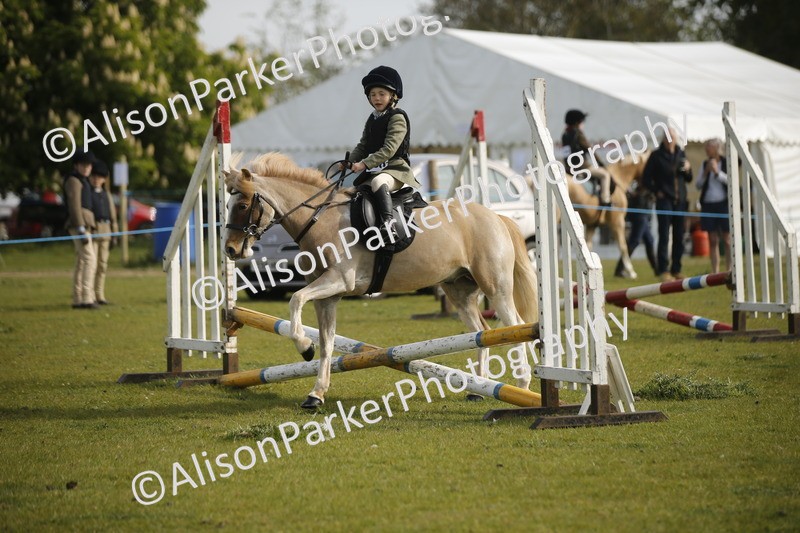 20260426-1046 - Class 1 - Mini Jumping - Lead rein or Assisted
