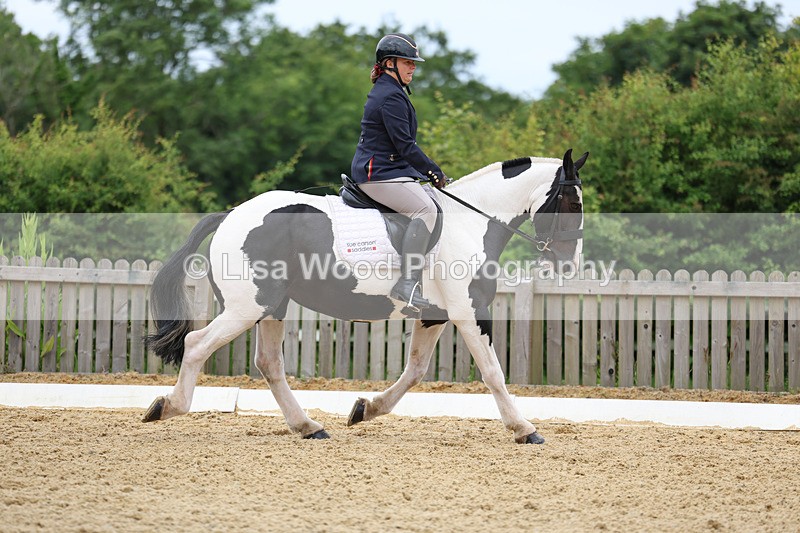 3E7A9422 - Class 2: Intro 1 2024 Section B