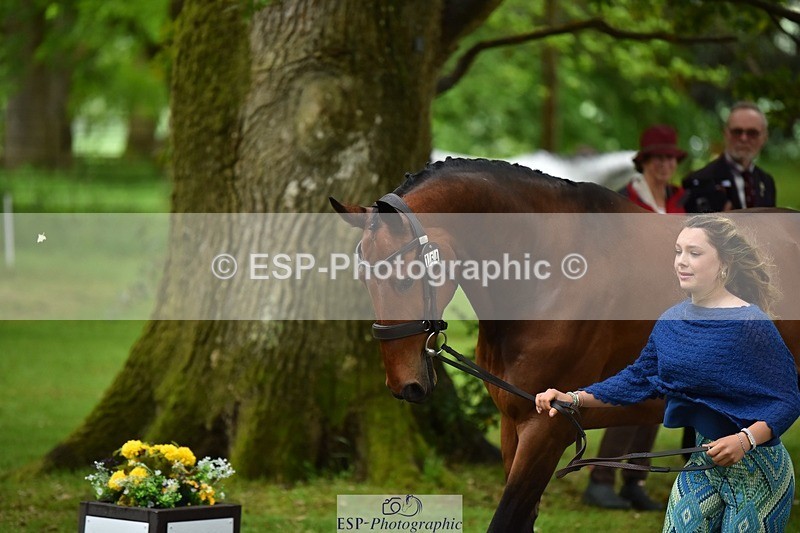 240522-160634-00718 - 154-K-Anya_Strilkowski