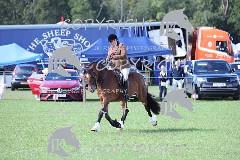 APP_3111 - Class 11 Veterans ridden