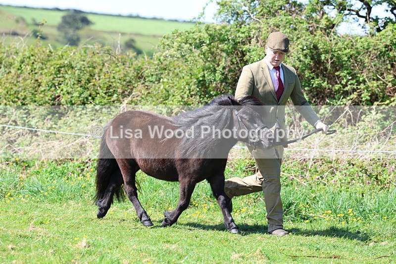 3E7A9399 - Class 16: Best Grass Kept