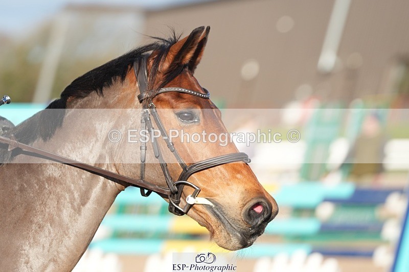 251130-133020-01254 - Cls 15 - 17 Children on Horses