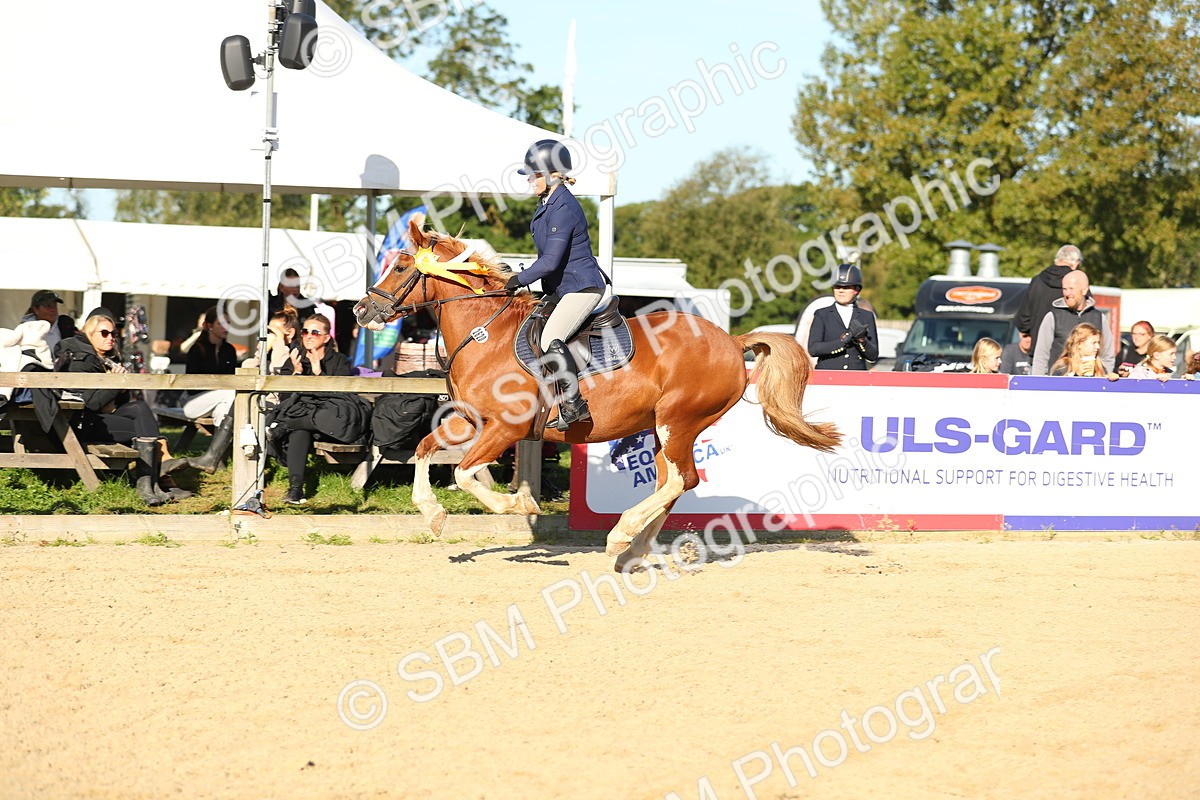 SBM_14960 - J32 - Senior 70cm Championship