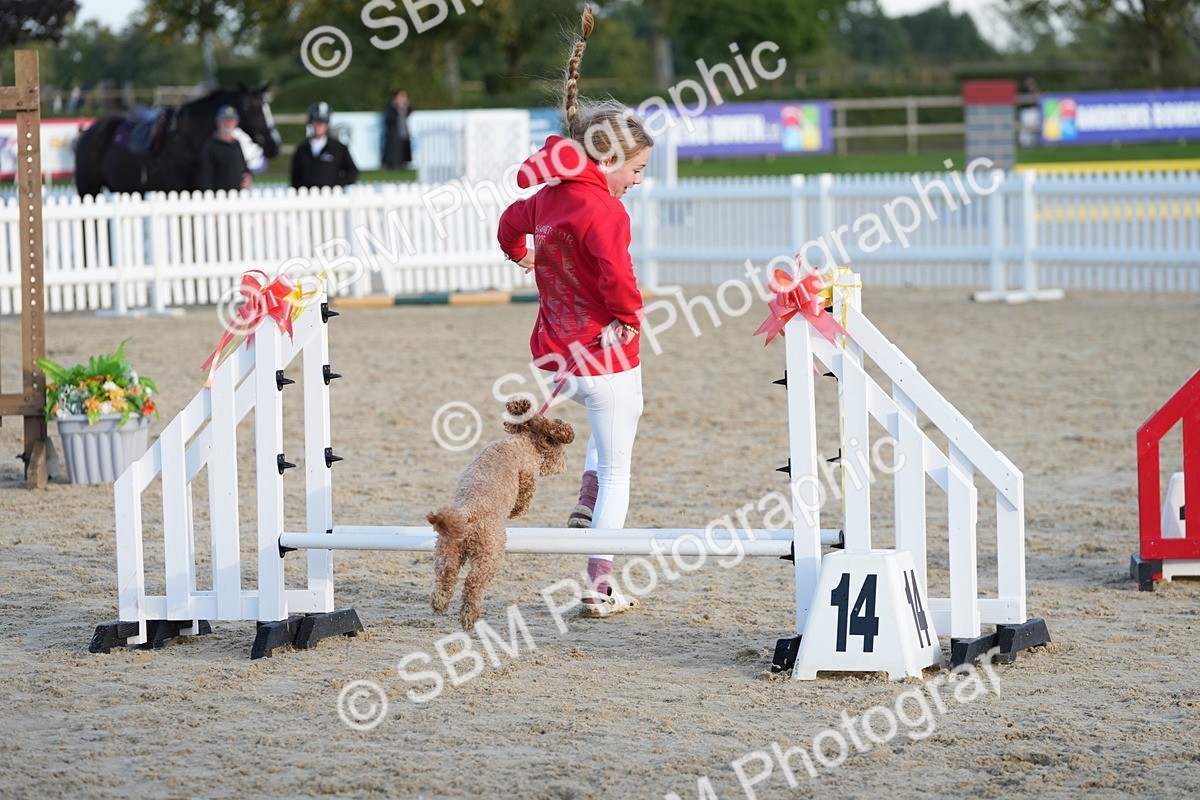 SBM_29493 - J44 - Horse & Hound Open 70cm