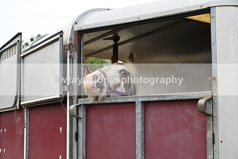 WJ6_3008 - Berks & Bucks - The Old farmhouse - Hound Exercise 20-08-25