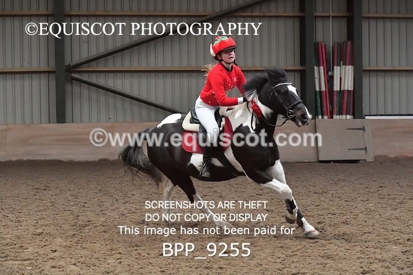 BPP_9255 - CLASS 5 60CM Progressive Show Jumping