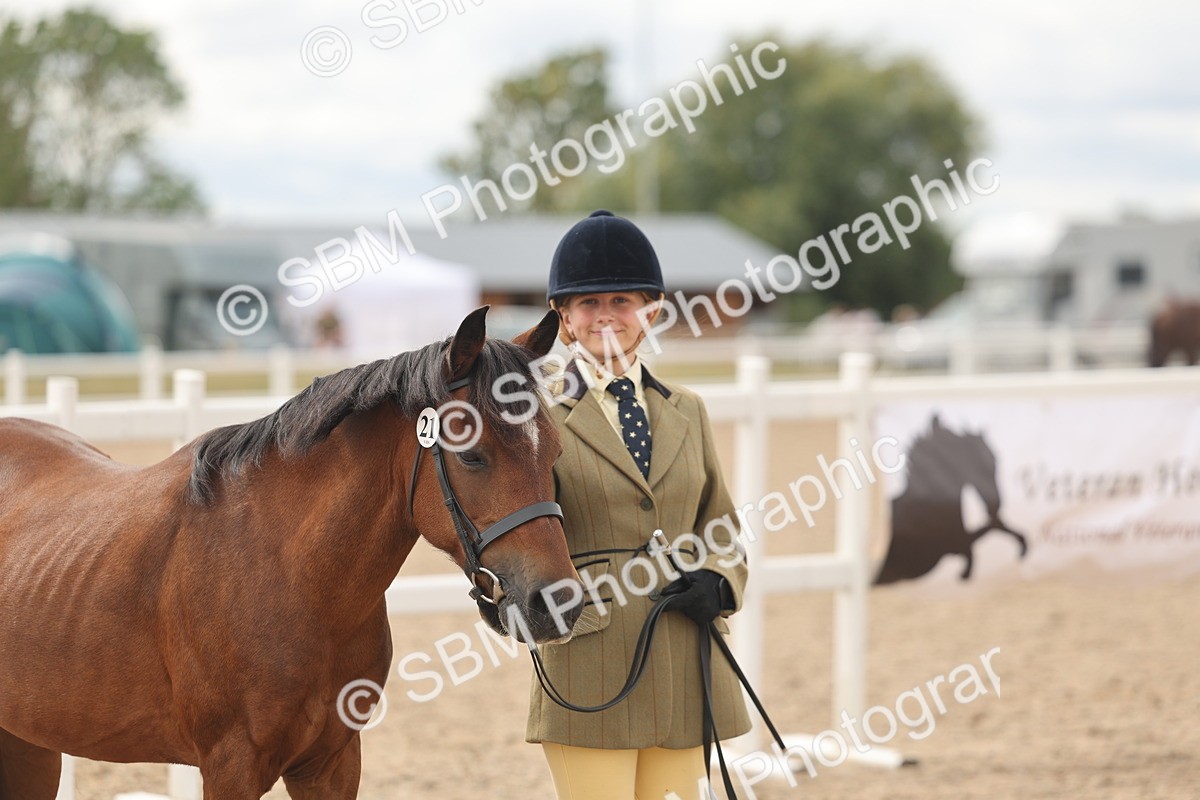 SBM_17008 - Class 312 - IH Competition Horse-Pony