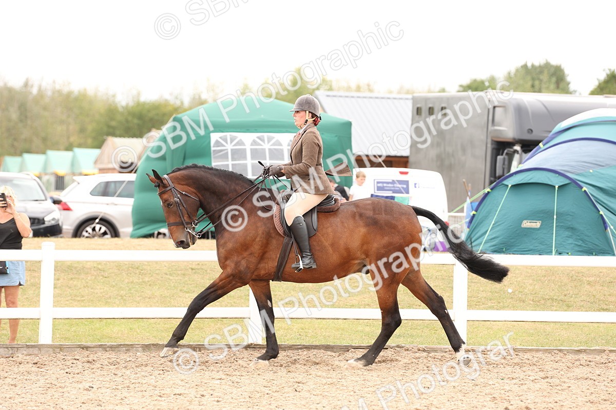 SBM_17235 - Class 213 - Ridden Hunter - Large