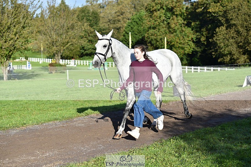 231022-100658-22245 - 453-SOURIS.DE.NESS-Darcy.Smith-TrotUp+SJ
