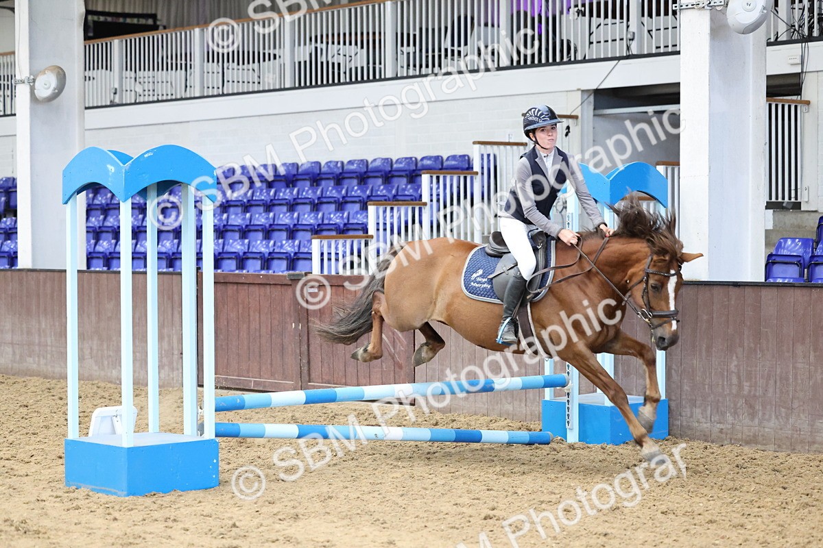 SBM_007784 - Class 3 - 60cm showjumping