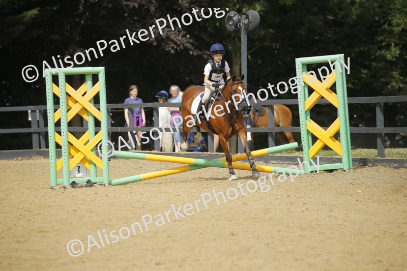 20250622-3813 - 50cm