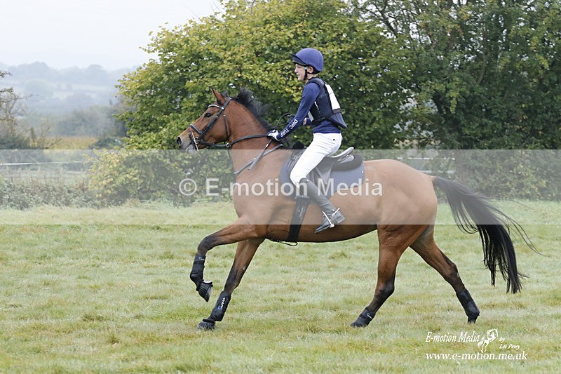 WWHT 171021 0277 - Novice Restricted (0.80m)  17/10/21