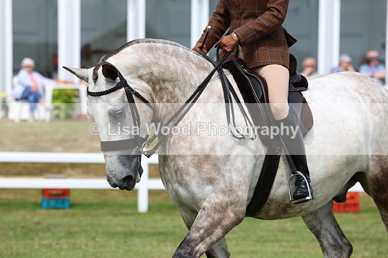 3E7A0259 - Class 6: Rising Star Maxi Cobs