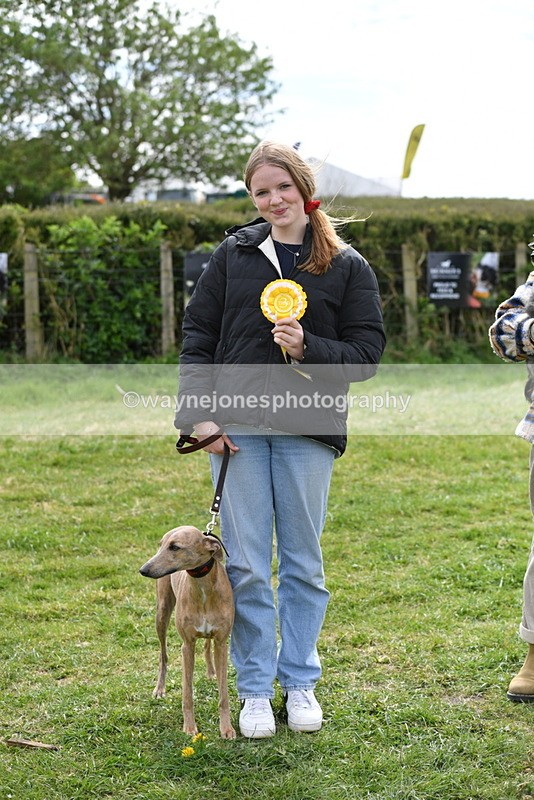 WJ5_9883 - Class 3 Most Handsome Dog