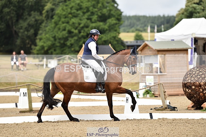 140110A-004100-10695 - 137-Debbie.Dyke-The.Trojan