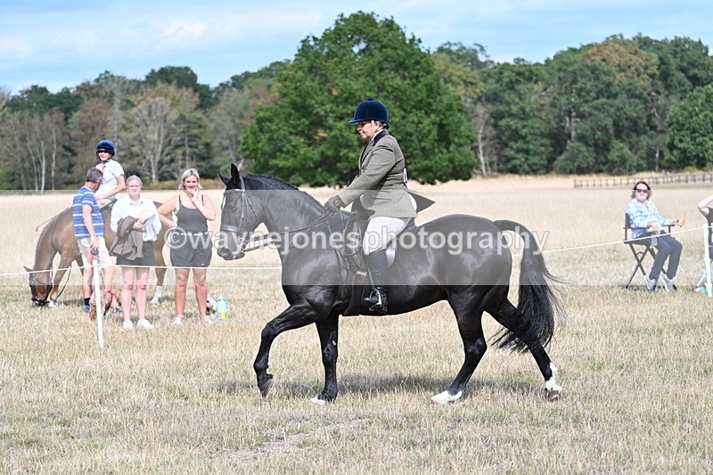 WJ7_6150 - Class 13 Ridden Veterans