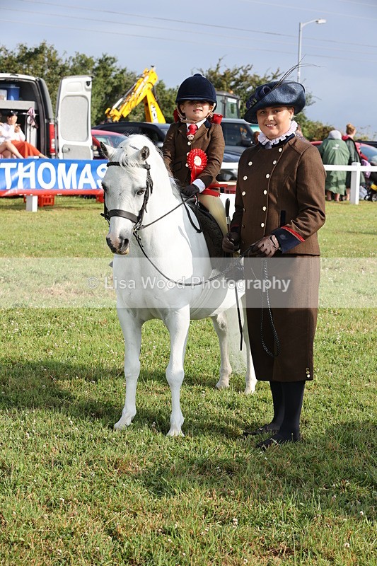 JPP_0443 - Class 14: Cornish Combination Leading Rein