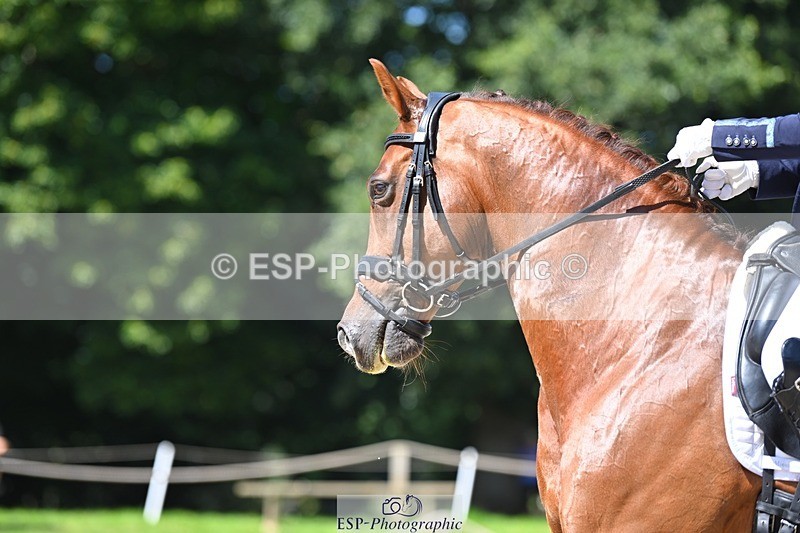 230811-115508-01115 - Cls 4 Adv Medium Silver