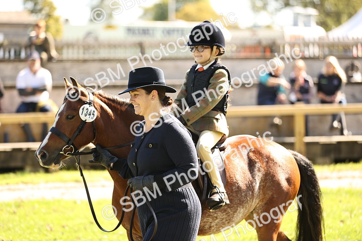 SBM_19284 - S3 - TSR Ridden Pony Showing