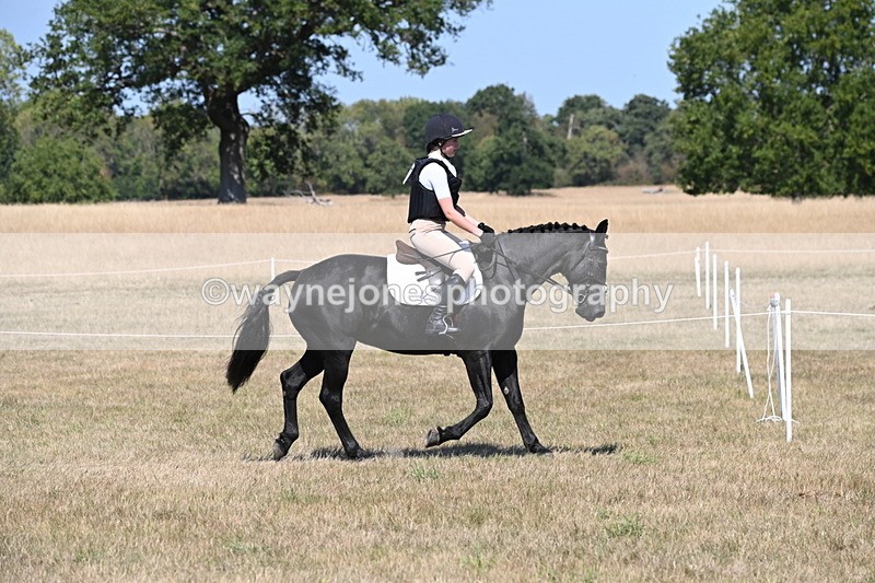 WJ6_8788 - Class 38 Ridden Riding Horse/Pony