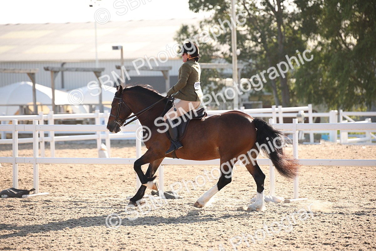 SBM_00659 - Class 14 Ridden M&M Wildcard