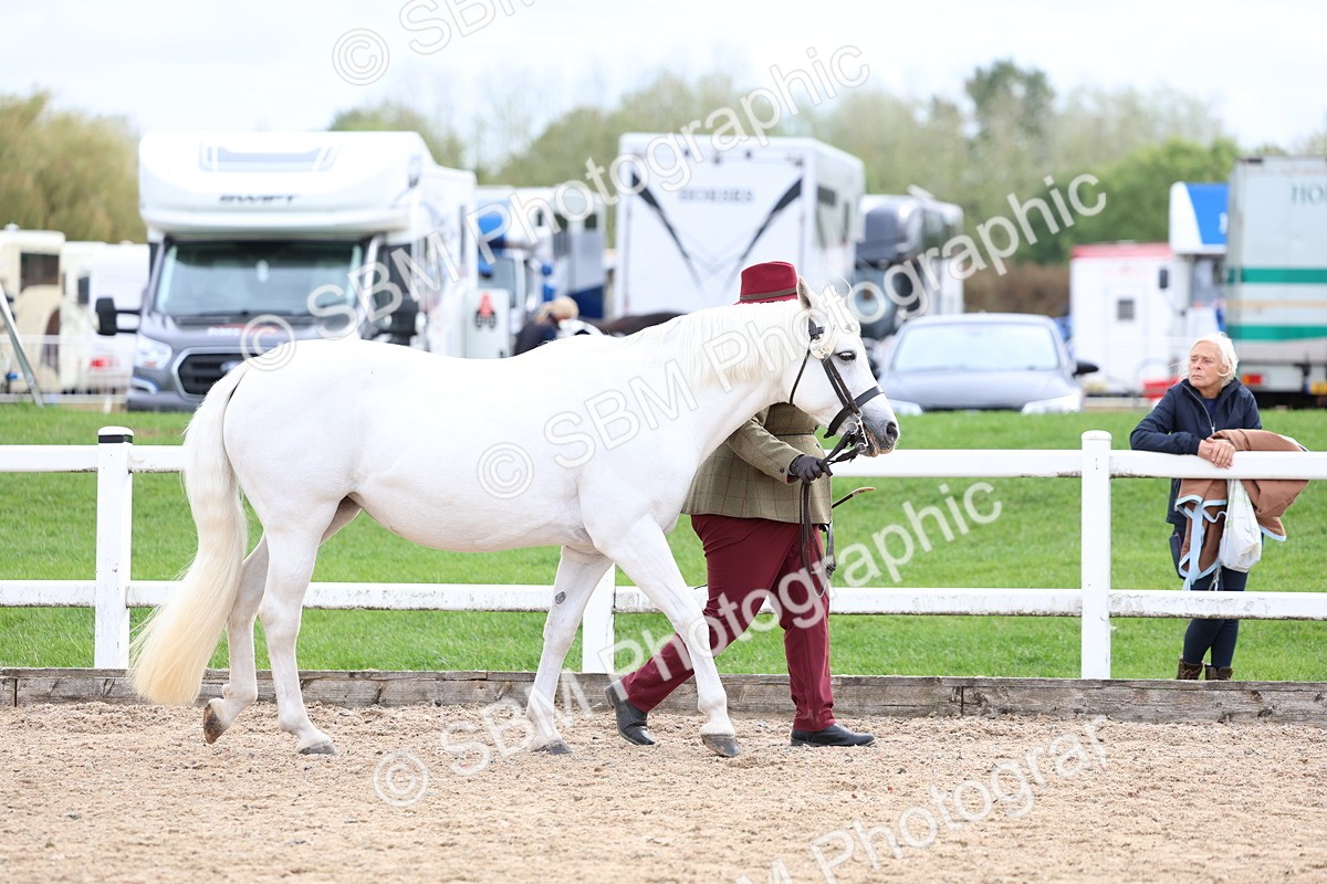 SBM_05824 - Class 29 - IH Veteran Pony