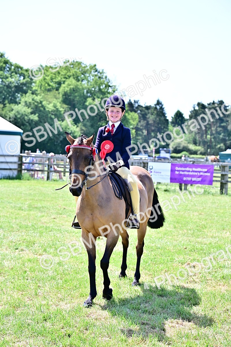 SBM_14041 - Class 95-97 - BSPS LHS Performance Ponies