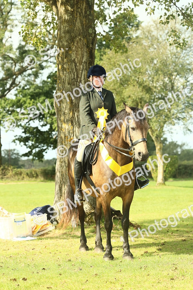 SBM_62709 - S63 - Other Coloured Horse Ridden