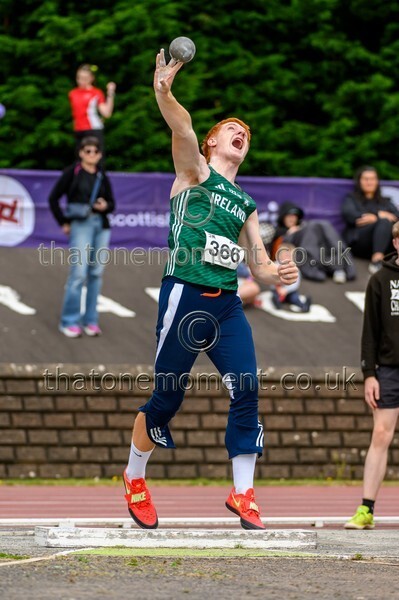 Sen25SAT-921381 - Field Male Set Two