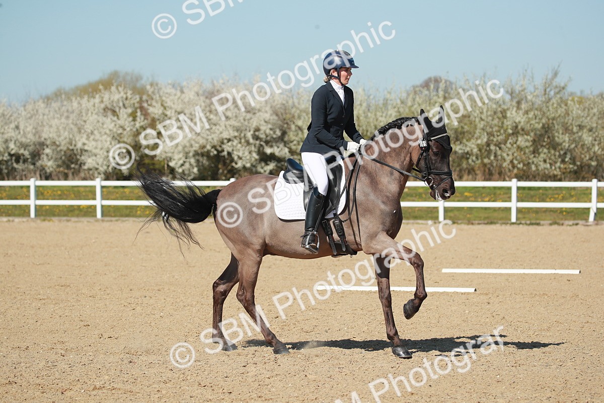 SJ3_1608 - Class 2-5-4-6-7 - Paso Doble-Golega-Sevilla-Lisboa-Novato