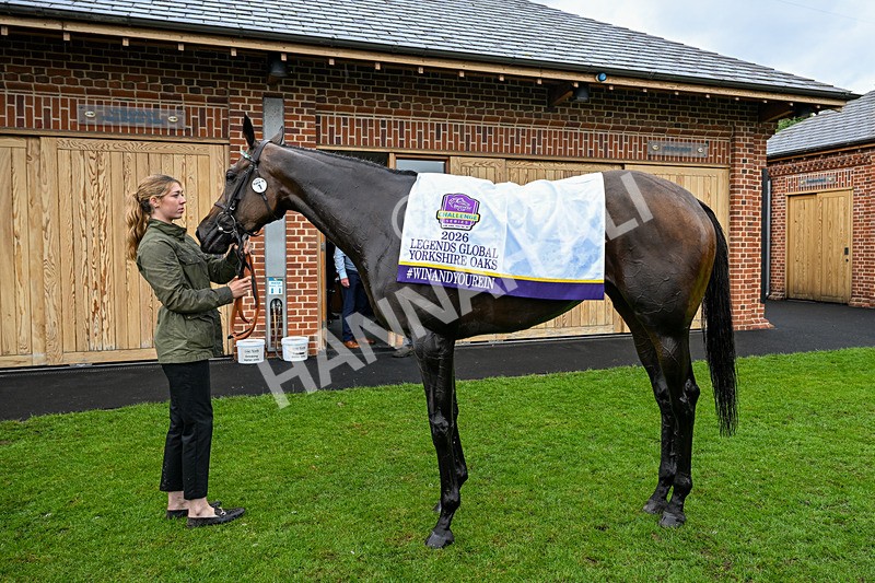 200826-Race 4-Kalpana-0495 - Race 4 15.35pm Legends Global Yorkshire Oaks