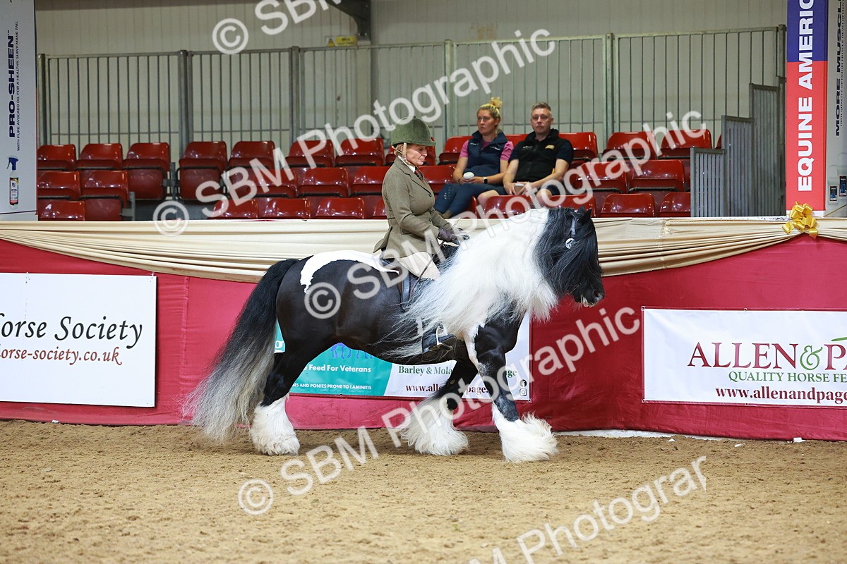 SBM_06186 - Class 12R - Ridden Pre-Vet