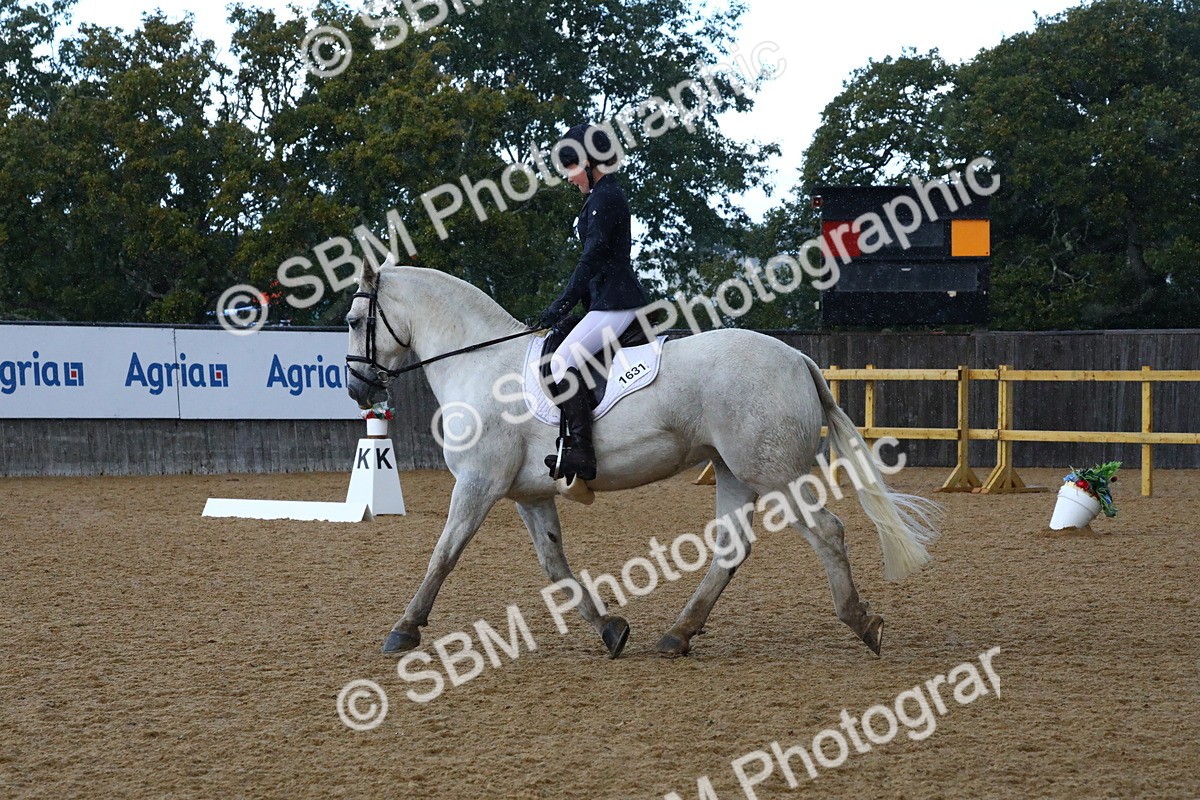 SBM_20892 - D5 - Small Tour Championshop Intro 2