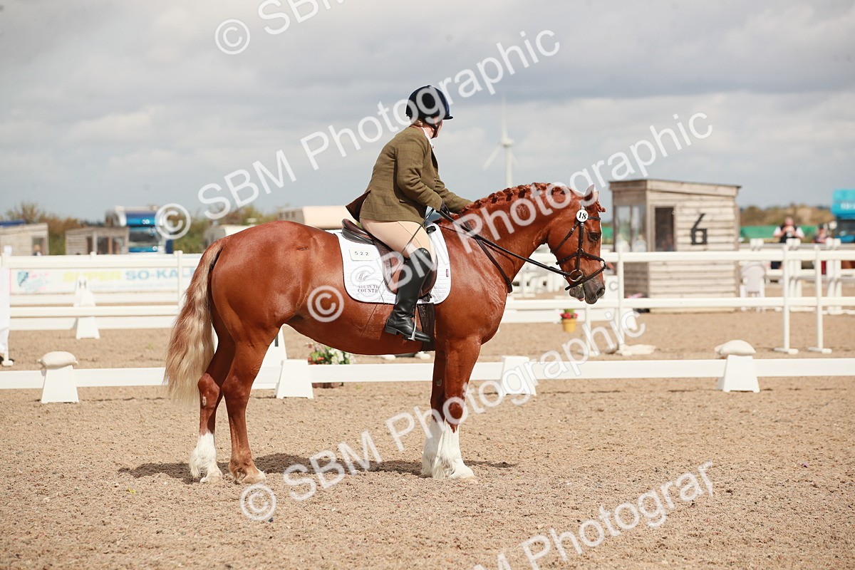 SBM_05878 - Class 32 - Novice 1