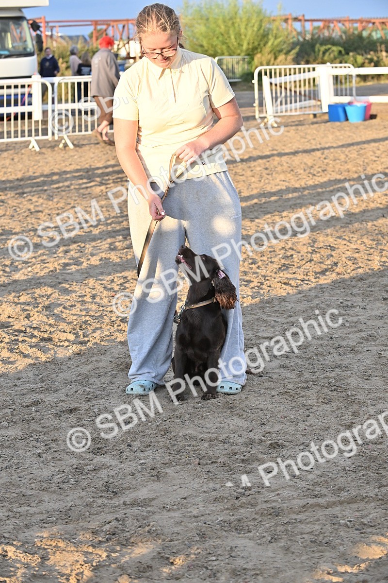 SBM_09694 - Lorry Dogs