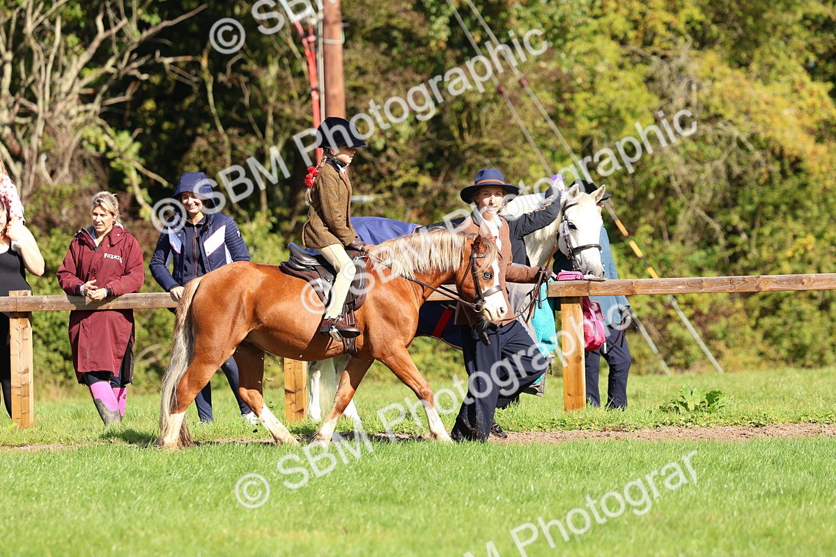 SBM_37414 - Fun Showing Supreme Championship