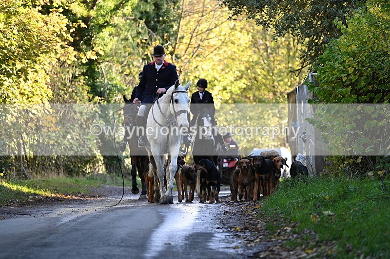 WJ7_8604 - Walk Home