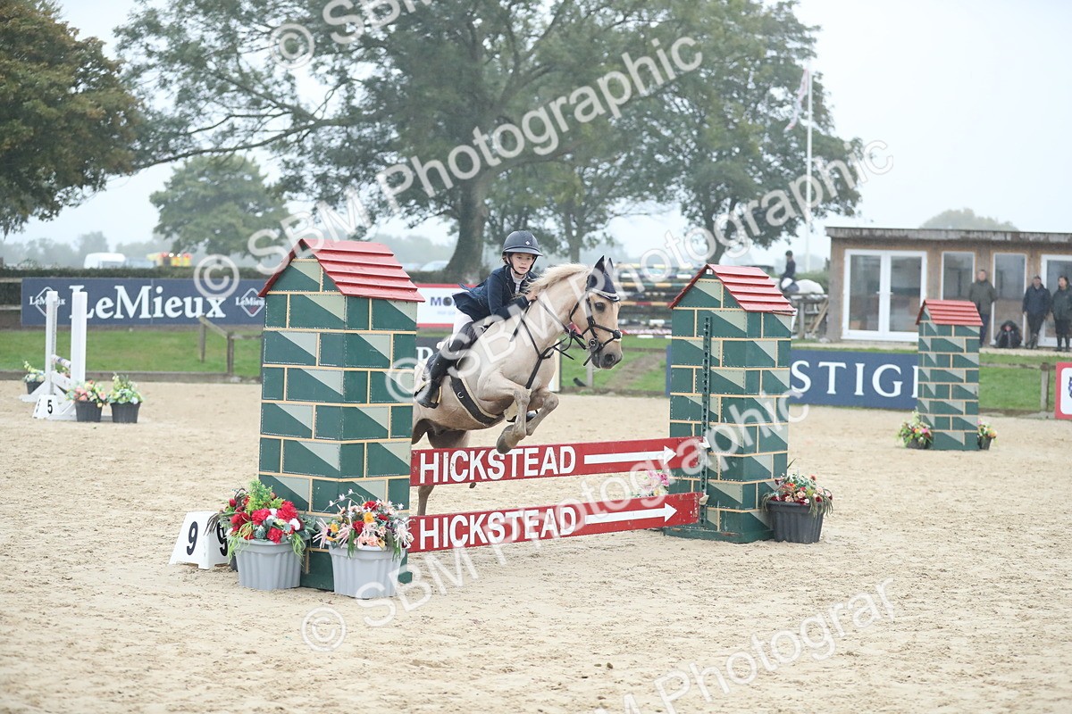 SBM_74174 - Supreme championship Junior Pony 70cm 75cm